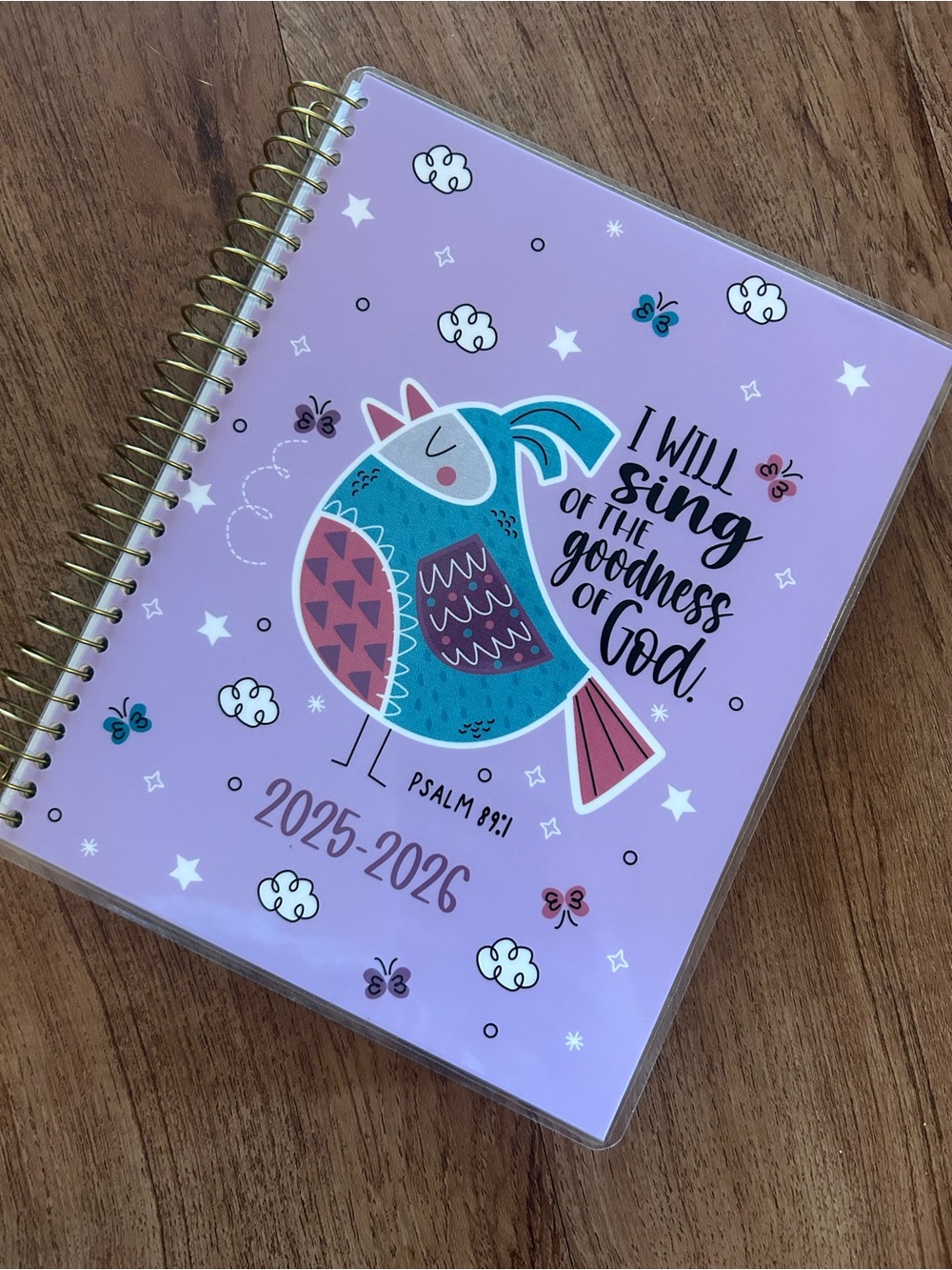 5 for $25 17 month 2025-2026 planner